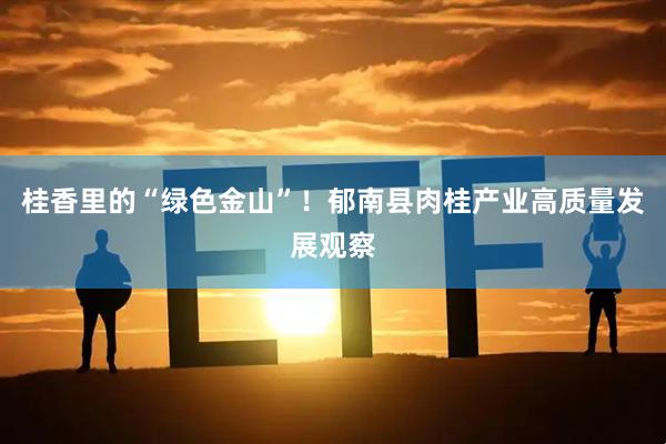 桂香里的“绿色金山”！郁南县肉桂产业高质量发展观察