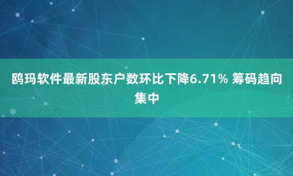 鸥玛软件最新股东户数环比下降6.71% 筹码趋向集中
