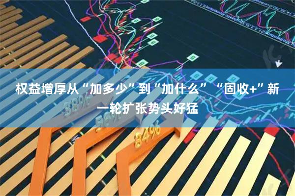 权益增厚从“加多少”到“加什么” “固收+”新一轮扩张势头好猛